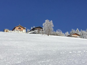 Daarhof